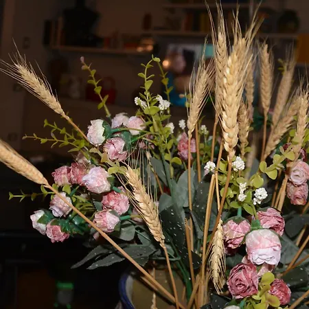 아파트 Luci Della Citta Palazzo San Matteo 팔레르모